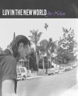 (Indie Folk) Joe Nolan - Luv In The New World -...