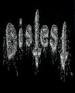 (Punk / Metal) Distest - 5 Releases Collection -...