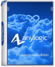 AnyLogic Professional 8.9.8 [Multi/Ru]